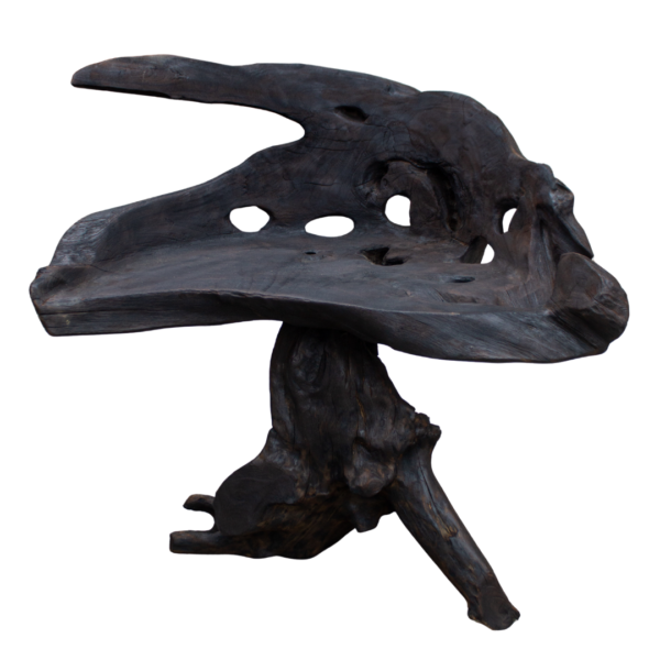 Tree Chair Teak Root Finishing Black