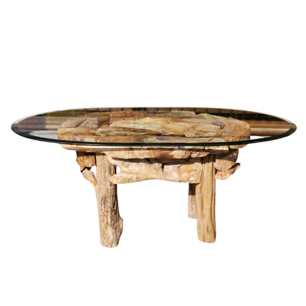 Coffe Table Root Oval