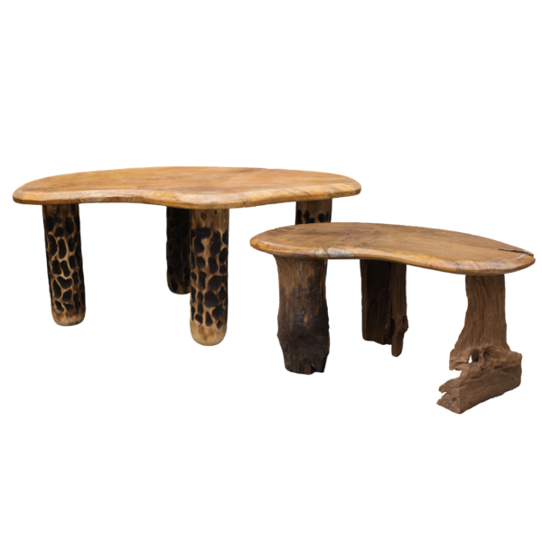Amoeba Coffee  Table