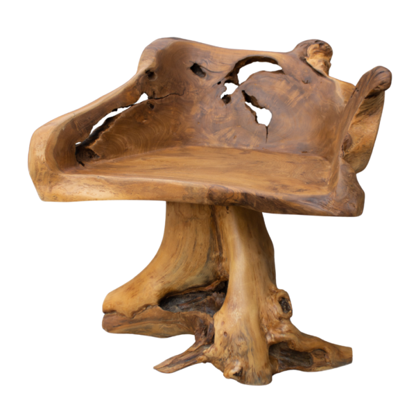 Tree Chair Teak Root
