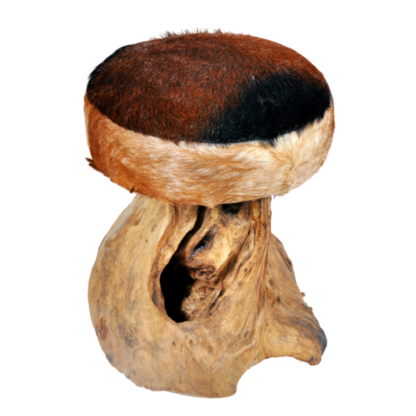 Stool Root Goat Skin